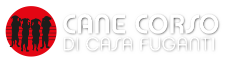 logo-CCCFcircle